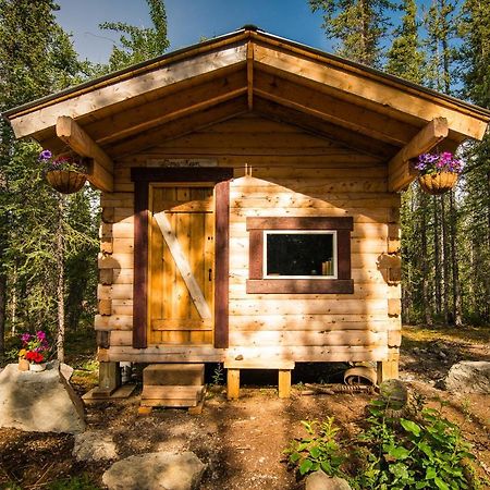 Blackburn Cabins - Mccarthy, Alaska المظهر الخارجي الصورة