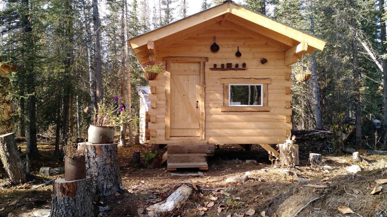 Blackburn Cabins - Mccarthy, Alaska المظهر الخارجي الصورة