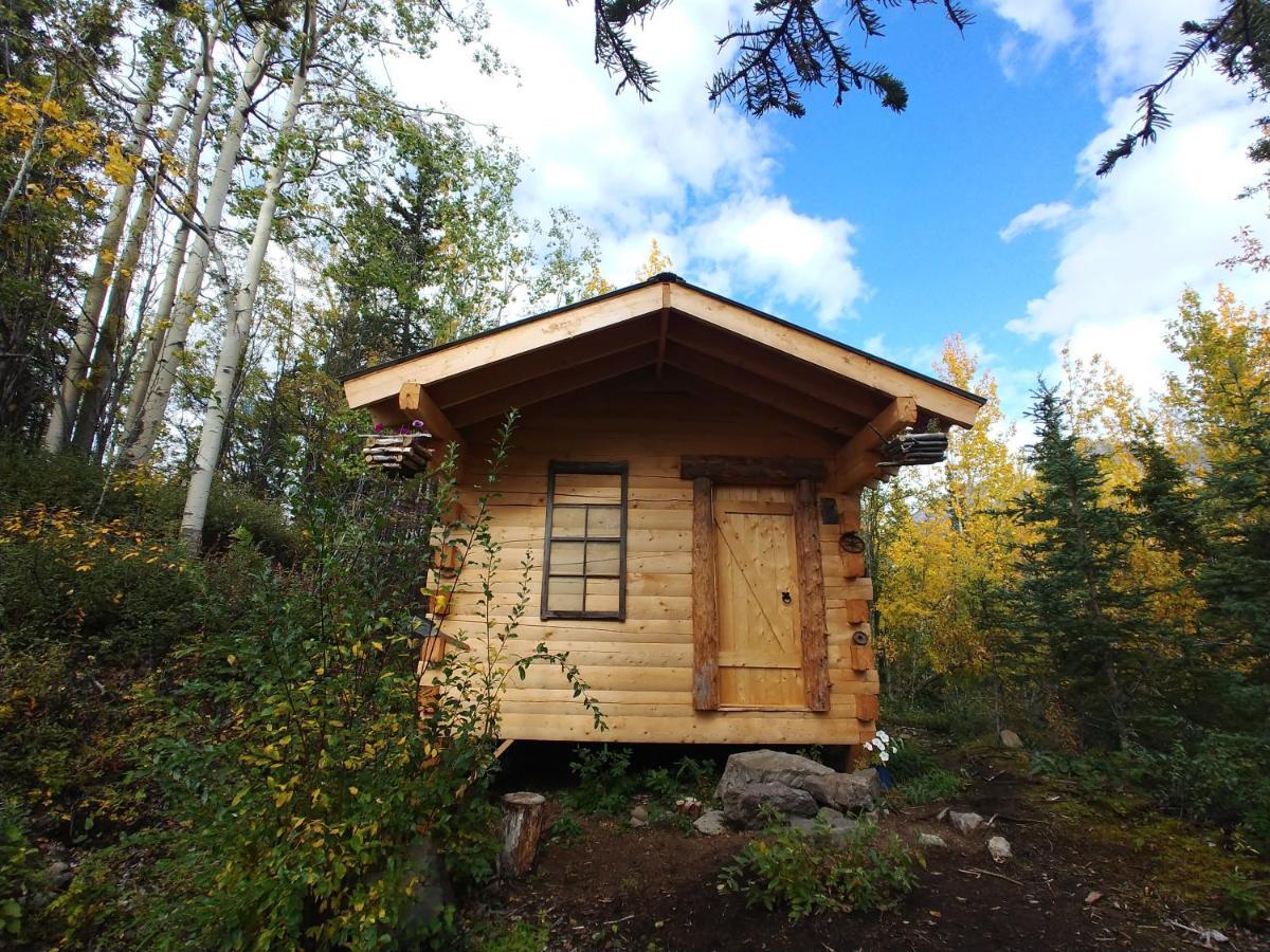 Blackburn Cabins - Mccarthy, Alaska المظهر الخارجي الصورة