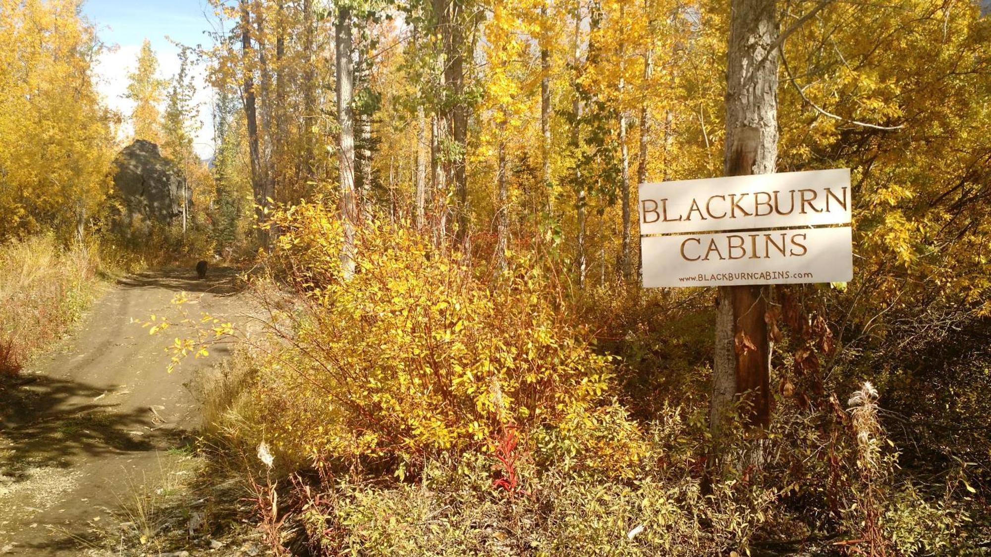 Blackburn Cabins - Mccarthy, Alaska المظهر الخارجي الصورة