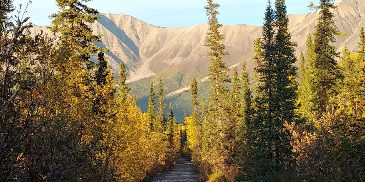 Blackburn Cabins - Mccarthy, Alaska المظهر الخارجي الصورة