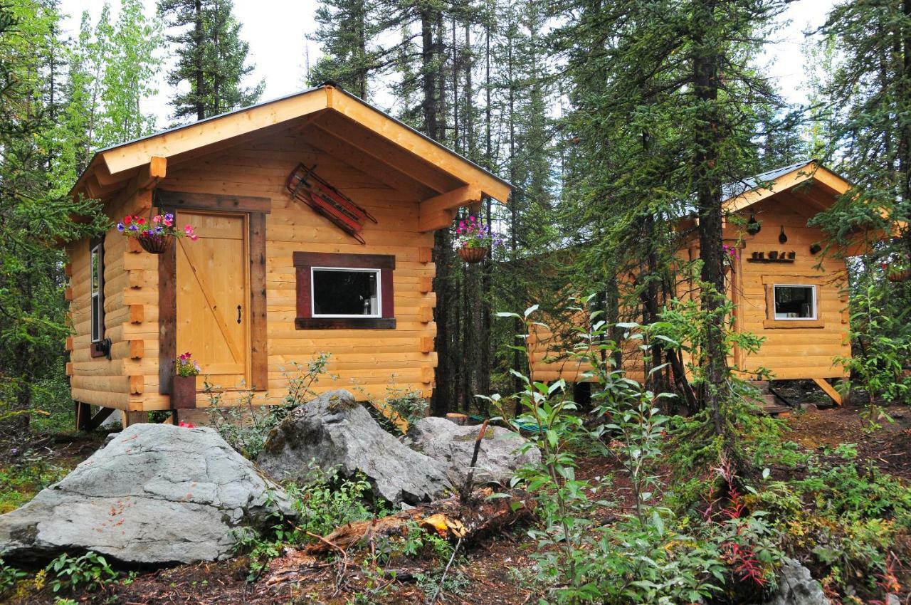 Blackburn Cabins - Mccarthy, Alaska المظهر الخارجي الصورة